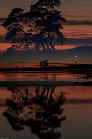 Bild zoomad under exponeringen